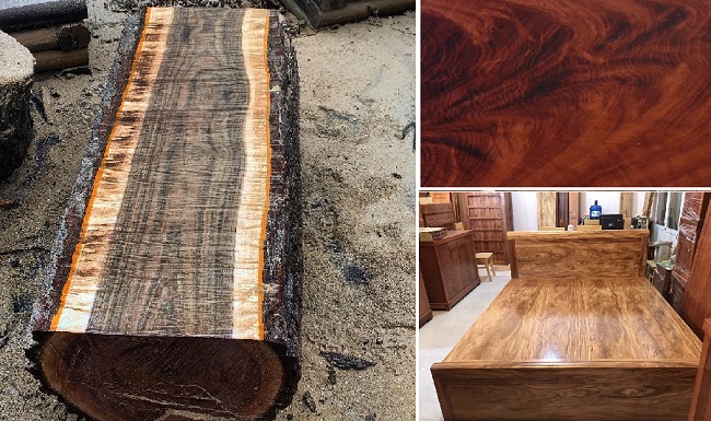 Nên dùng gỗ gì để làm đồ nội thất gia đình?